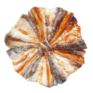 ปลาแห้ง