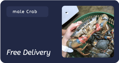 Banner--Product--EN--04-min